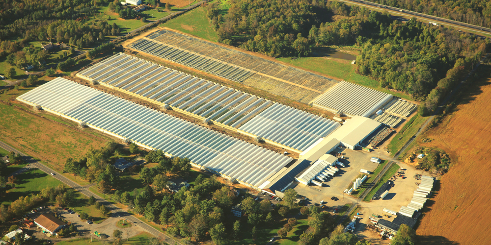 Aerial view of Kube-Pak greenhouses
